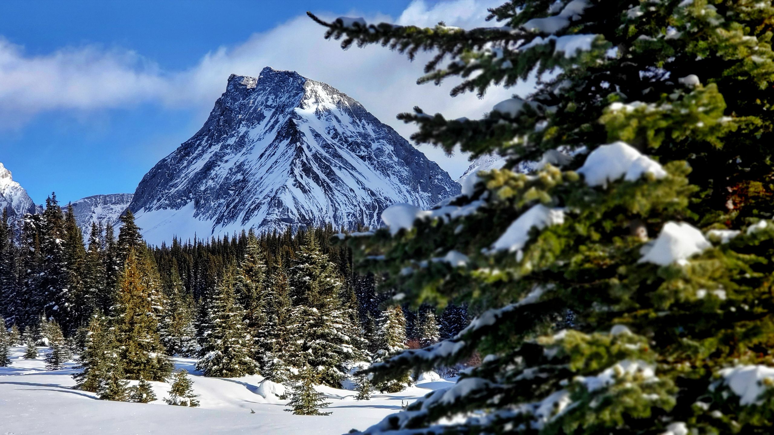 Breathtaking view of a snow-covered mountain and forest landscape during winter.